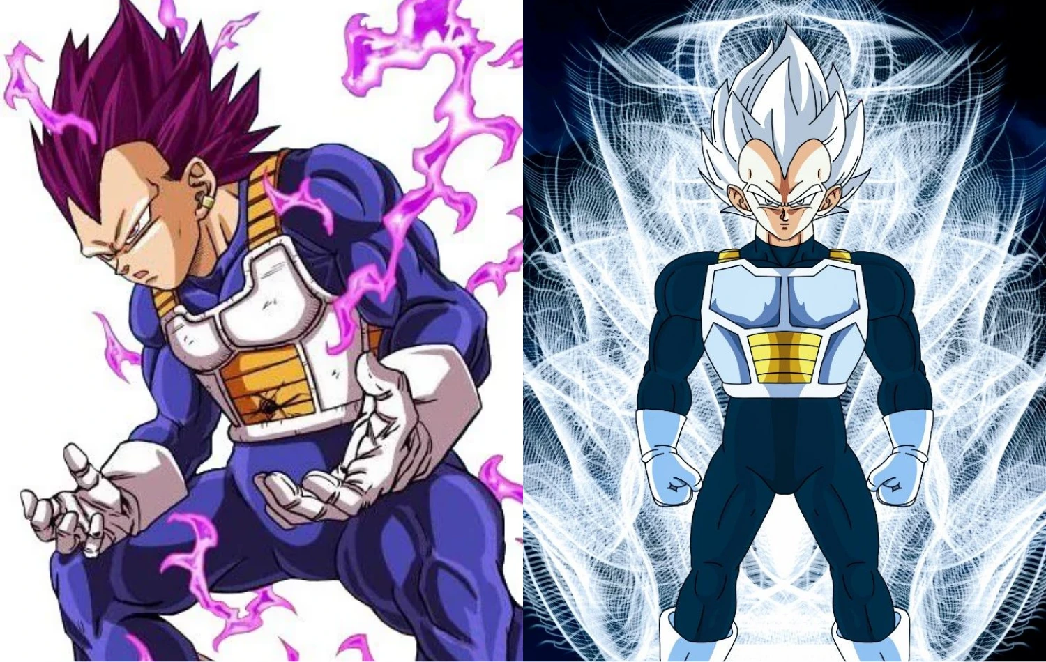 Vegeta Mastered Ultra Instinct Instead of Ultra Ego